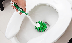 Toilet Brush being used on a toilet