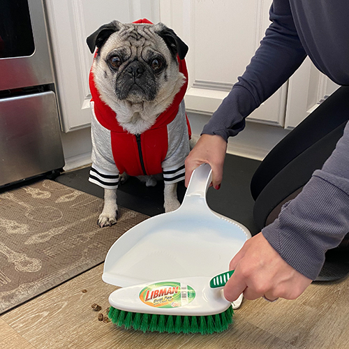 Libman Brush & Dust Pan Set