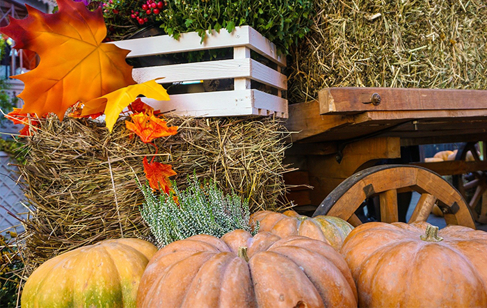 Libman October 2021 Blog Header 