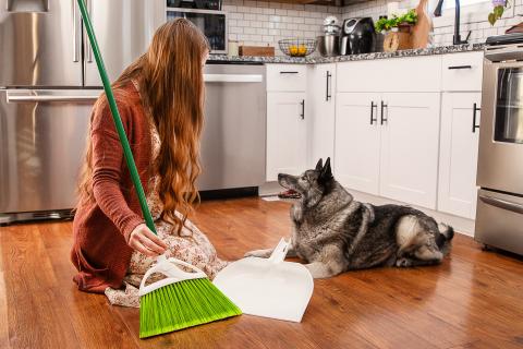 PetPlus™ Angle Broom with Dustpan